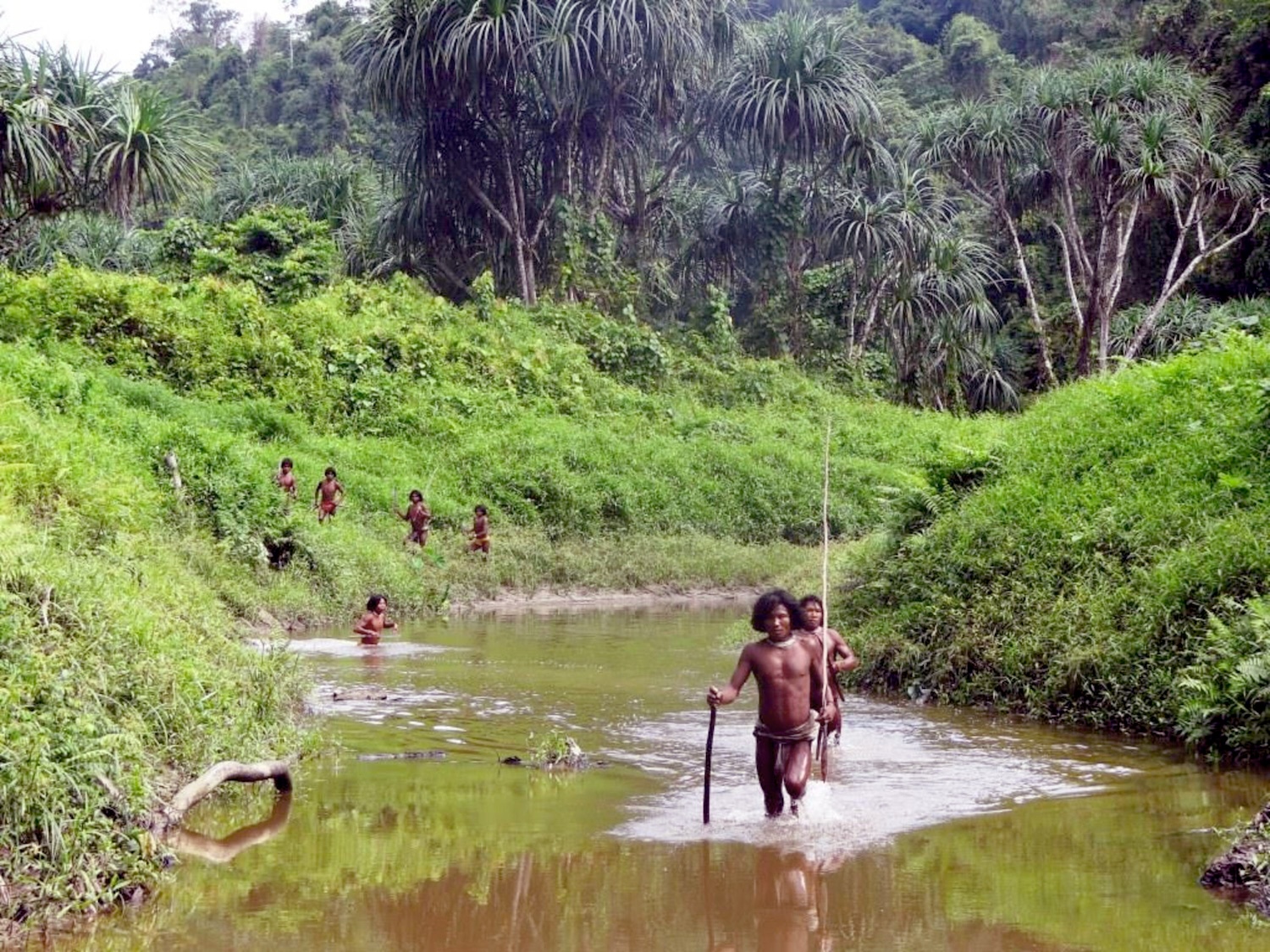 Shompen men seen traversing a river on Great Nicobar Island, India. Credit: Anthropological Survey of India