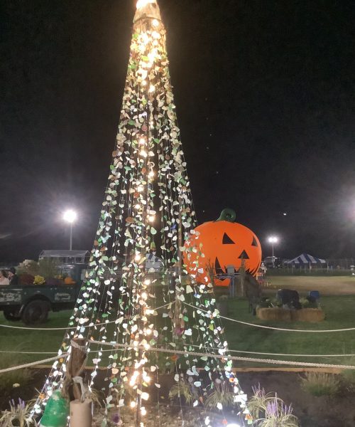 Meet the man who built a 15-foot-tall sea glass Christmas tree