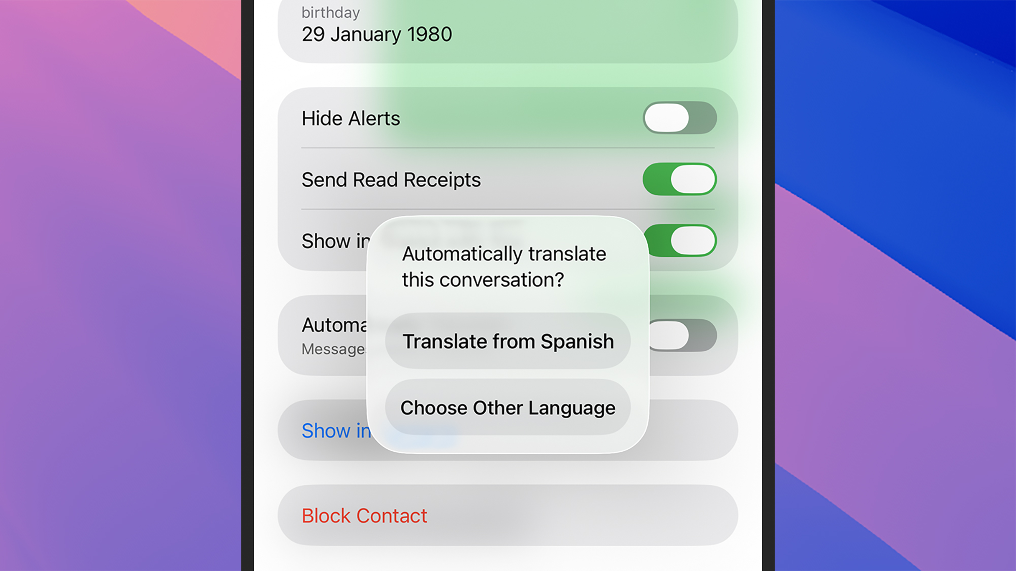 screenshot of translation options