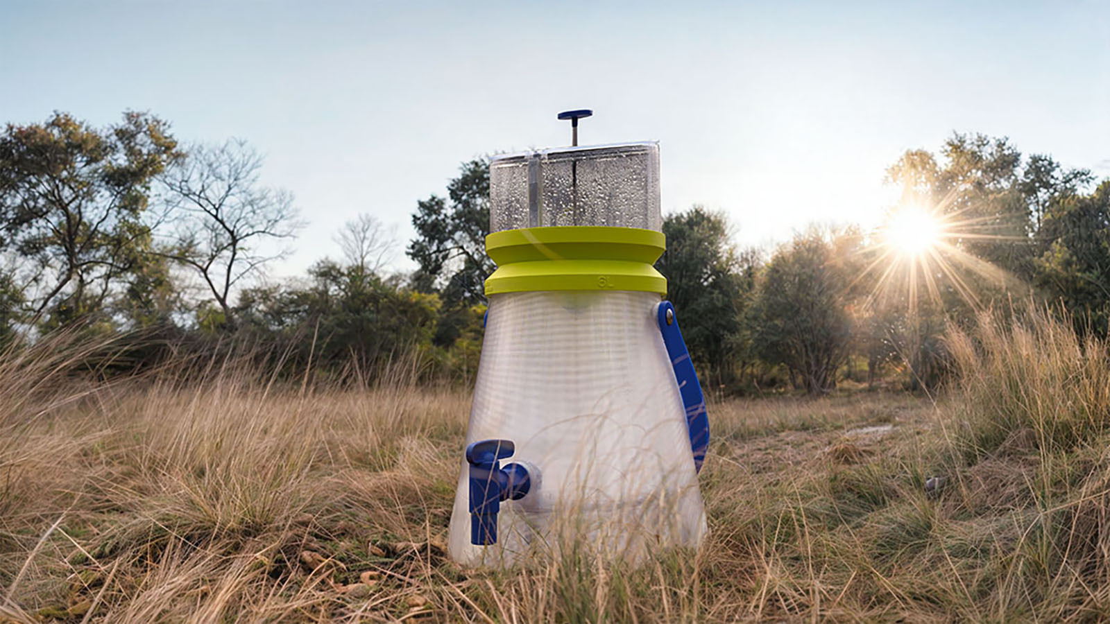 a jug sits in grassy area