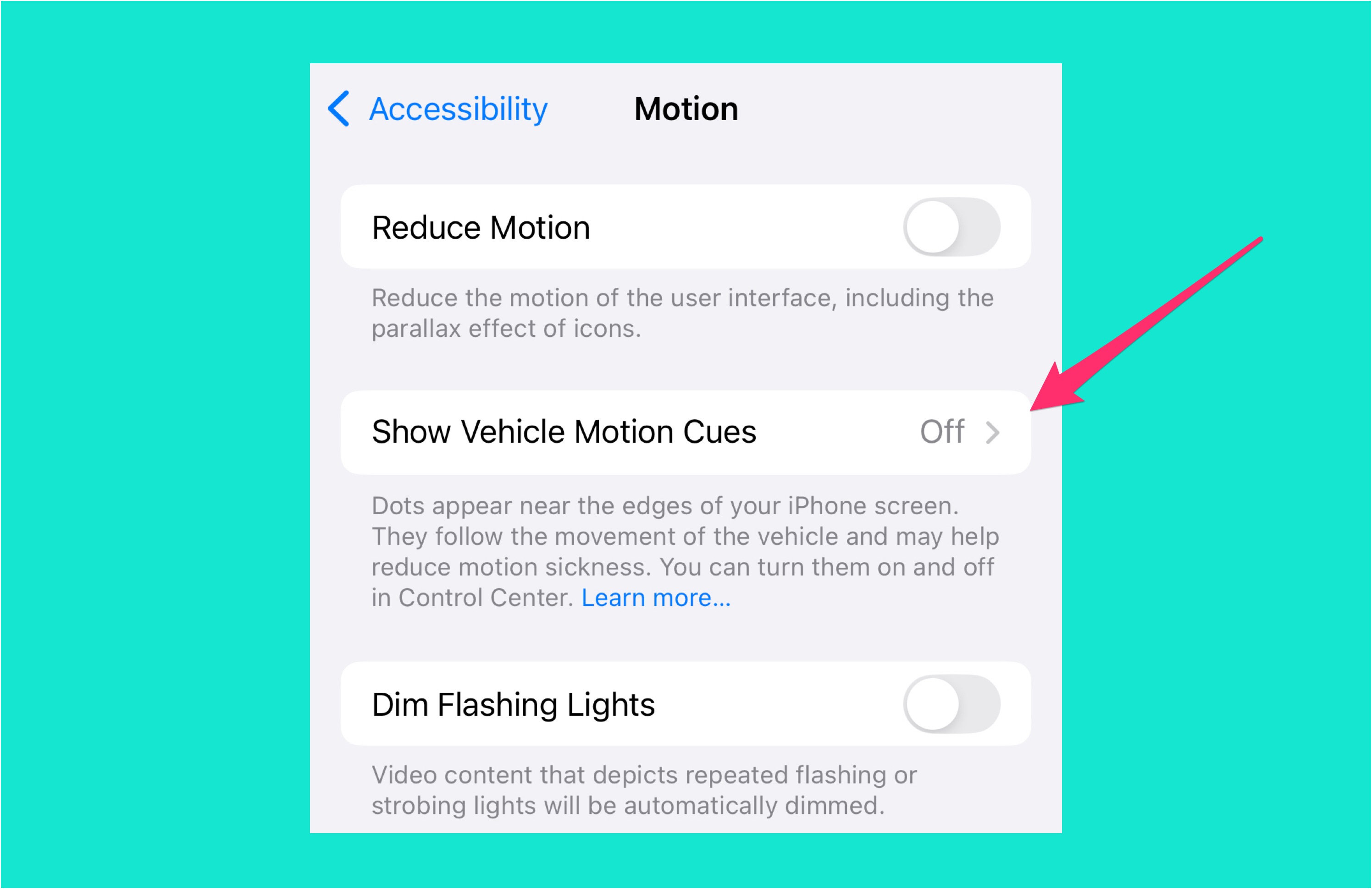 screenshot of vehicle motion cues