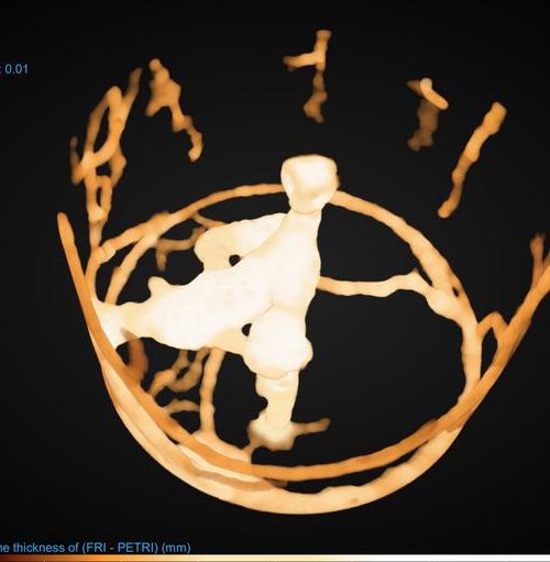 Ants ‘social distance’ during a pandemic