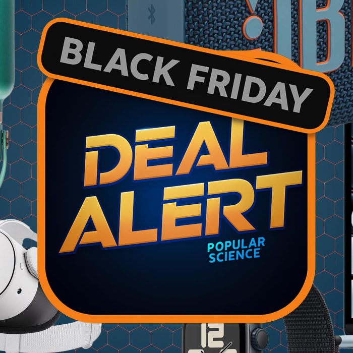 Golden retrievers and humans share ‘striking’ genetic similarities