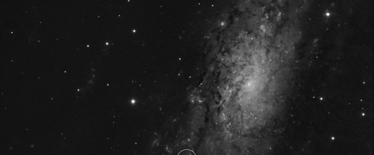 Newborn supernova spotted only hours after its explosive birth