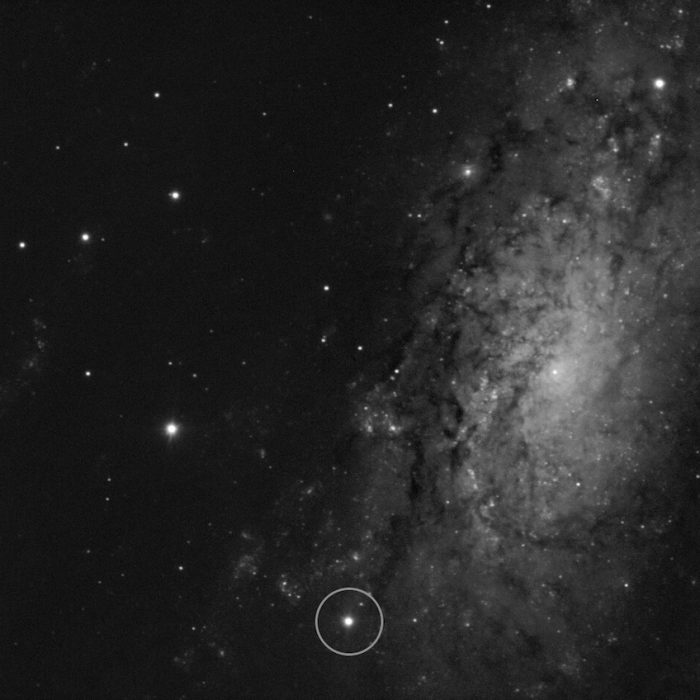 Newborn supernova spotted only hours after its explosive birth