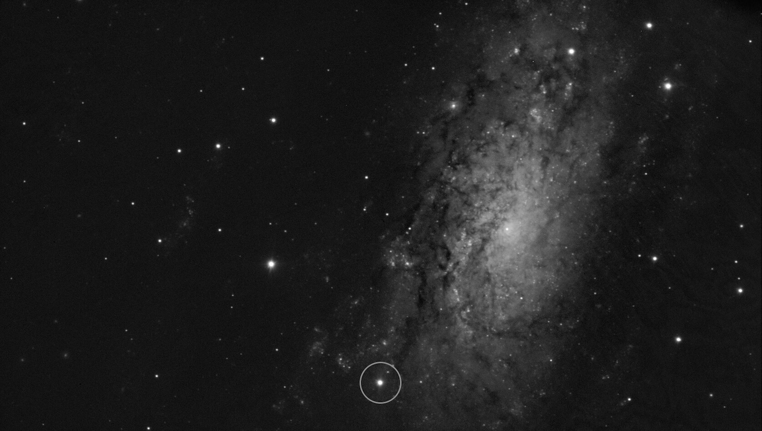 This image shows the location of the supernova SN 2024ggi in the NGC 3621 galaxy. It was taken on 11 April 2024, just 26 hours after the initial detection of the supernova. The image was obtained with the FORS2 instrument on ESO’s Very Large Telescope (VLT). Among other capabilities, FORS2 allows to obtain spectra in polarised light. This technique, called spectropolarimetry, provides crucial information about the shape of the explosion even though it appears as a single point as seen from Earth.