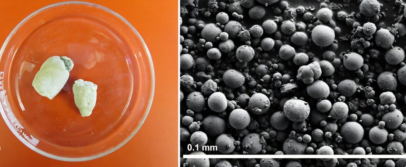 Reptile ‘pee crystals’ might help treat kidney stones and gout