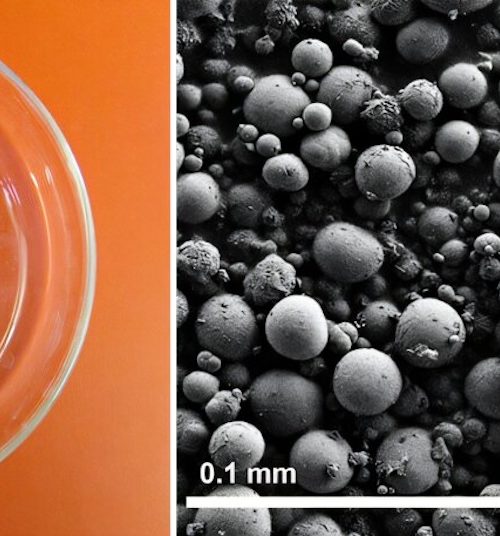 Reptile ‘pee crystals’ might help treat kidney stones and gout