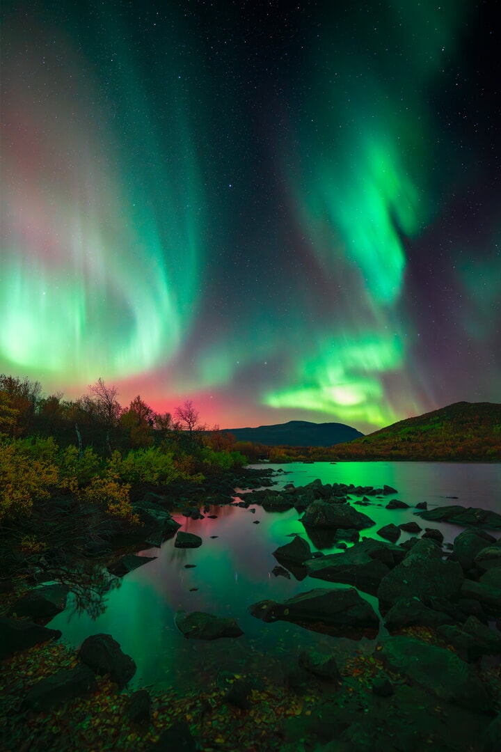 a green and pink aurora glows over mountains with some orange and yellow autumn leaves underneath