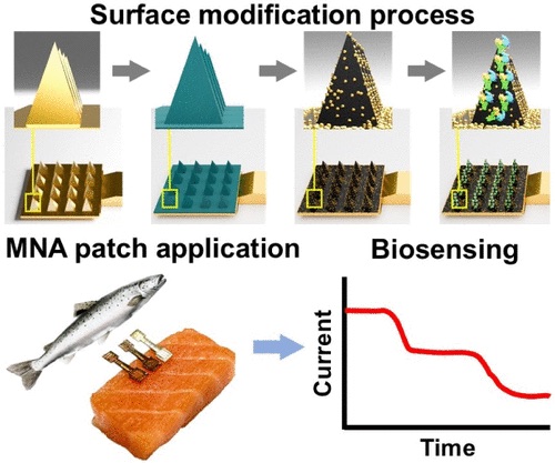Several microneedle sensors attached to the fish immediately begin emitting an enzyme that disturbs molecules associated with rot.