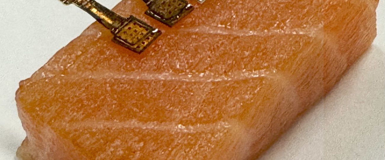 Afraid your fish is too fishy? Smart sensors might save your nose