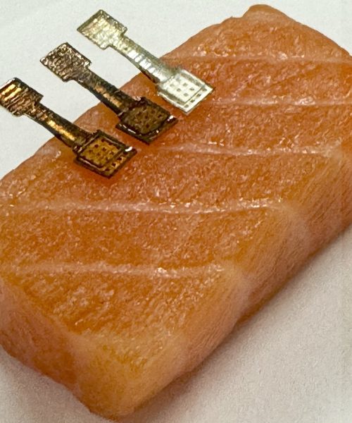 Afraid your fish is too fishy? Smart sensors might save your nose