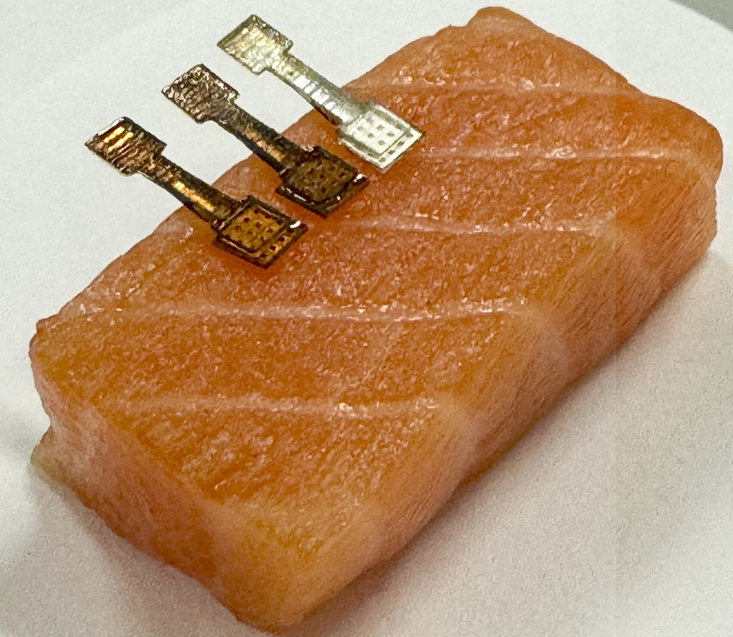 a piece of salmon with three square metal sensors on it