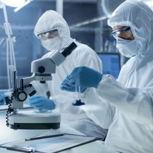 How scientists analyze ancient DNA from old bones