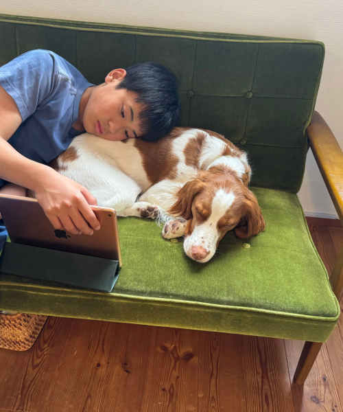 Pet dogs can help teens’ mental health