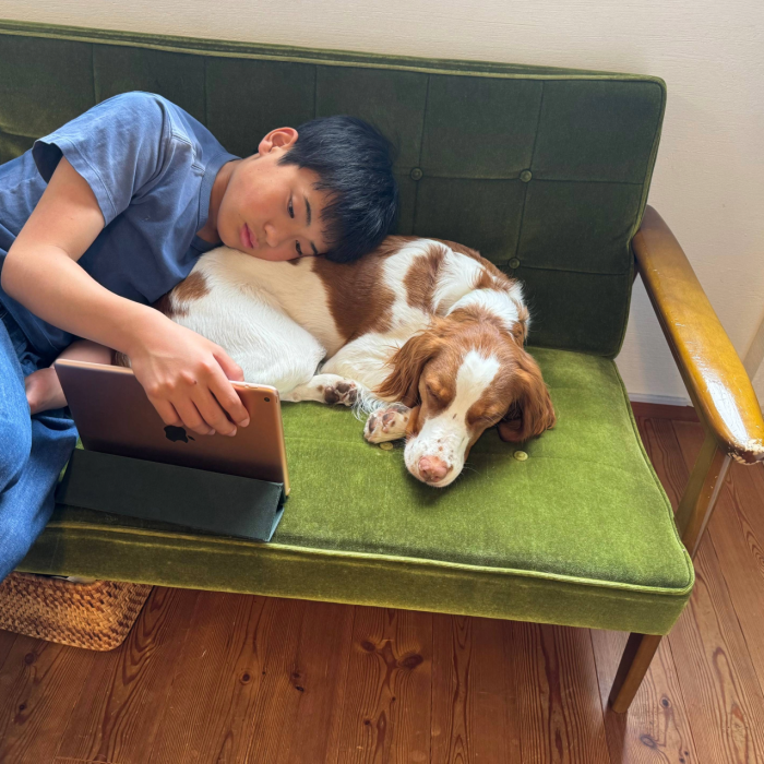 Pet dogs can help teens’ mental health