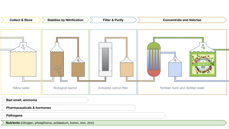 a graphic explaining how a system collects and cleans urine to turn into fertilizer