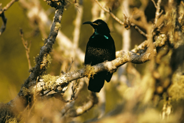 The darkest fabric ever made is now a dress