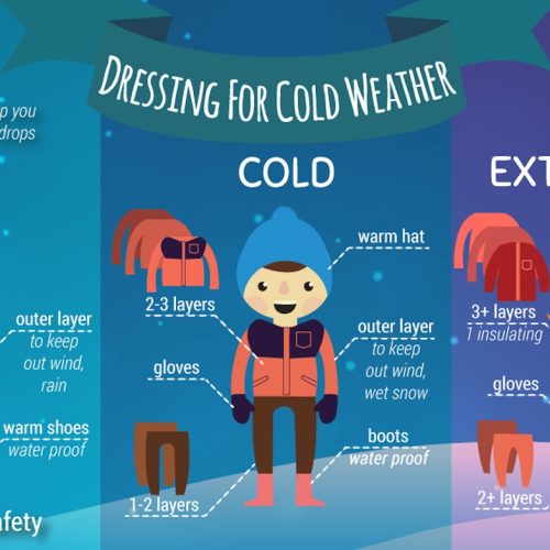 Do trees really explode in extreme cold?