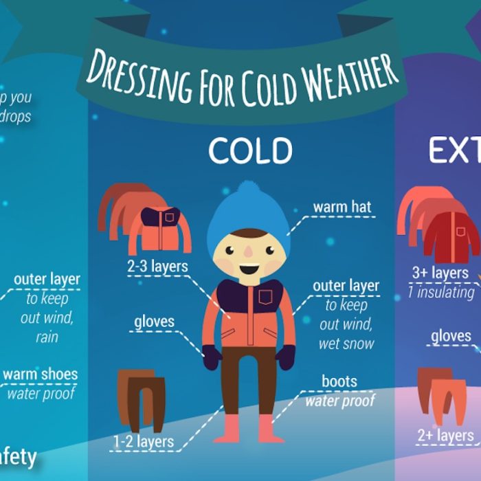 Do trees really explode in extreme cold?