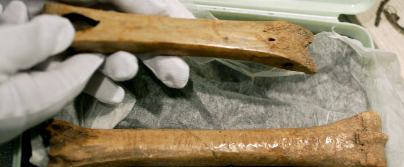 From bones to steel: Why ice skates were a terrible idea that worked