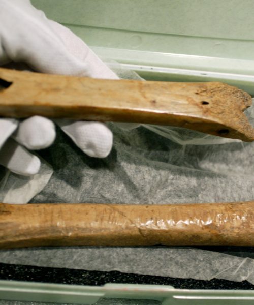 From bones to steel: Why ice skates were a terrible idea that worked