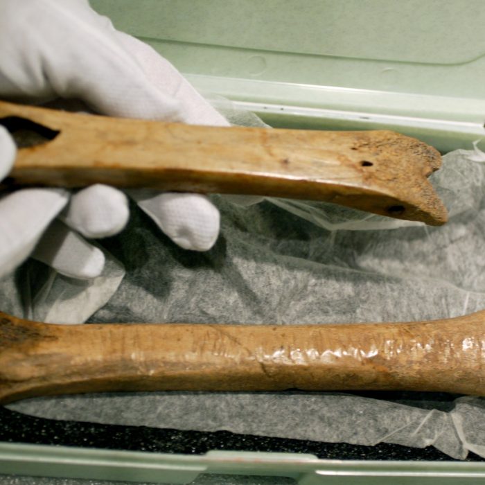 From bones to steel: Why ice skates were a terrible idea that worked