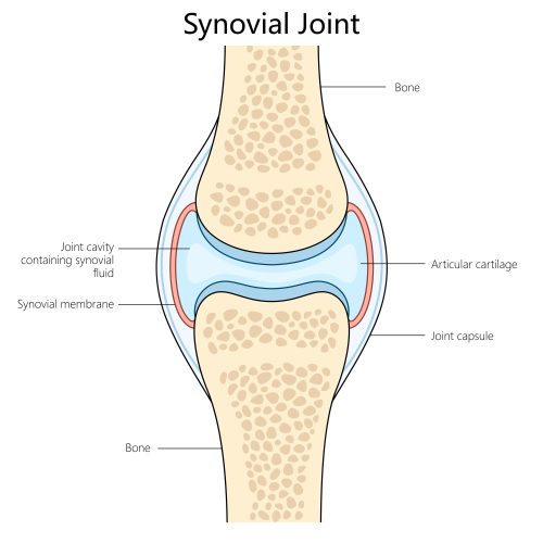 Is cracking your knuckles really bad for them?