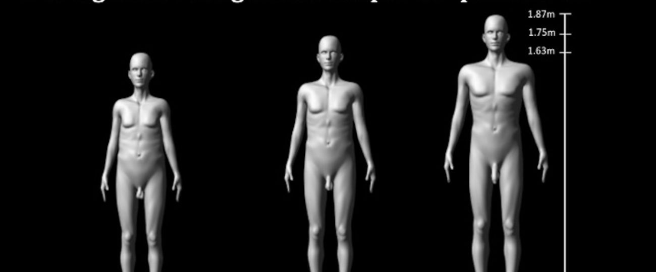 Penis size may matter more to men than women