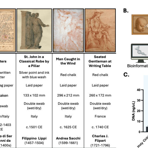 Science sleuths think they found Leonardo da Vinci’s DNA