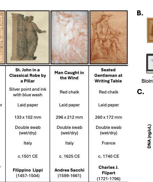 Science sleuths think they found Leonardo da Vinci’s DNA