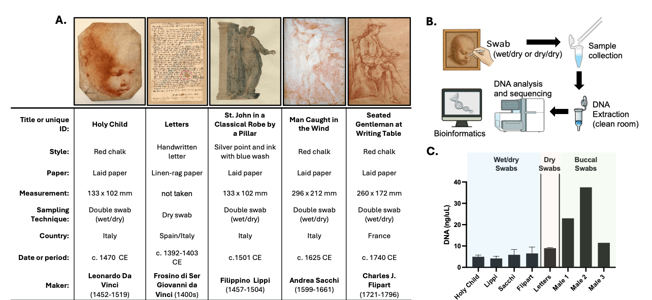 This table depicts “Holy Child,” a letter from da Vinci's descendants, and two other non-da Vinci art pieces from a similar period that were all swabbed for genetic material.