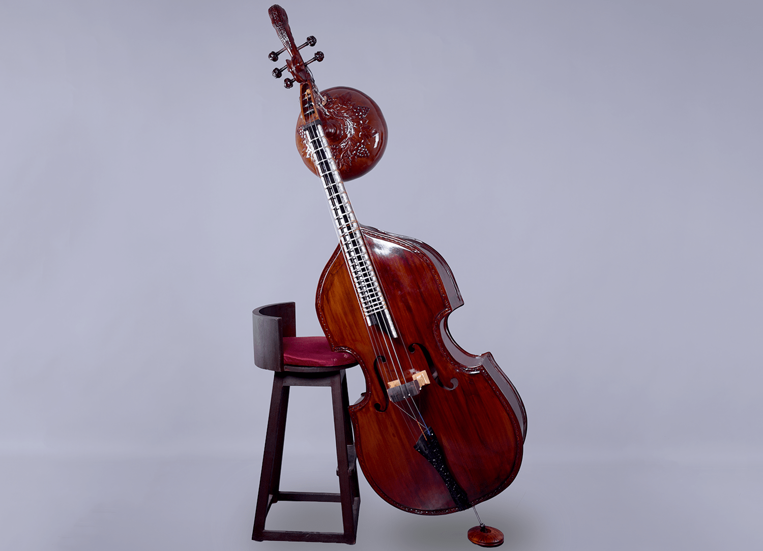 A double bass combined with an Indian classical instrument