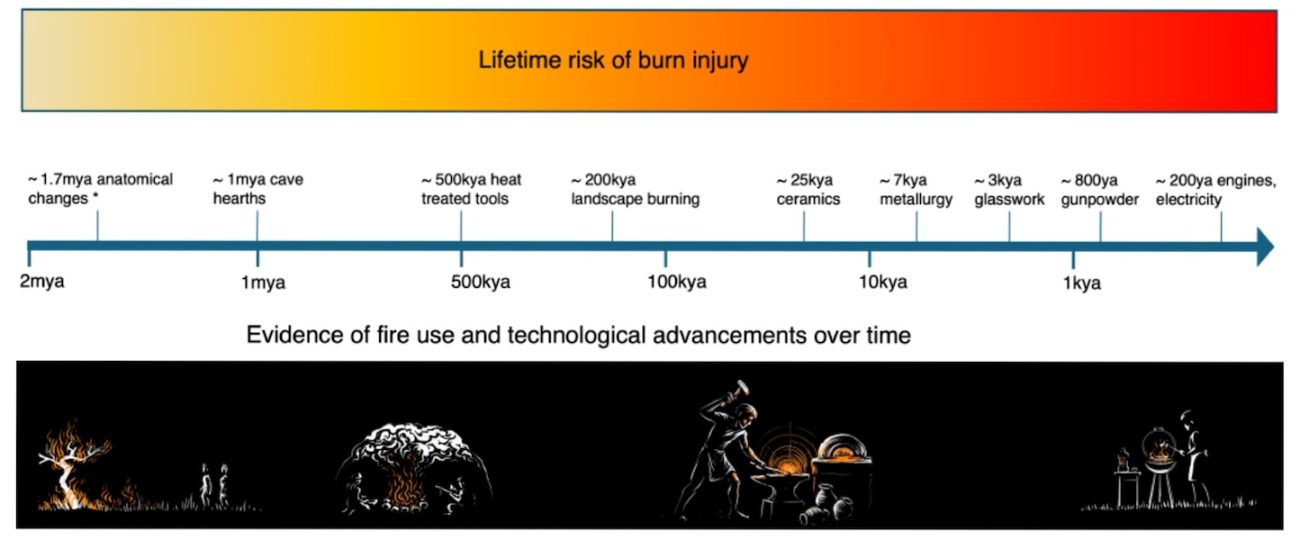 Fire may have altered human DNA