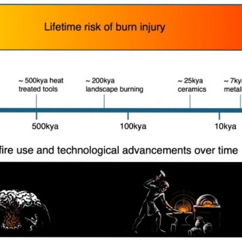 Fire may have altered human DNA
