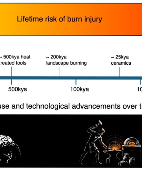 Fire may have altered human DNA