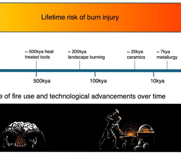 Fire may have altered human DNA