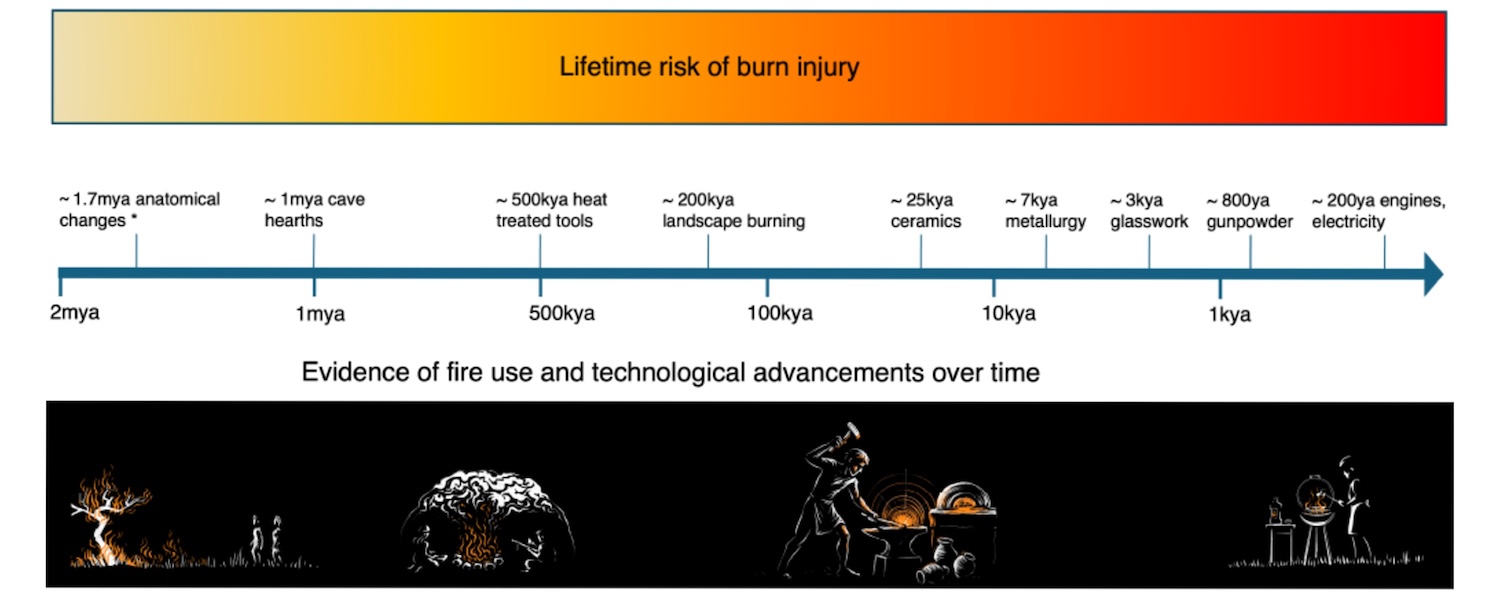 Timeline of human technological developments compared to risks of burns from fires