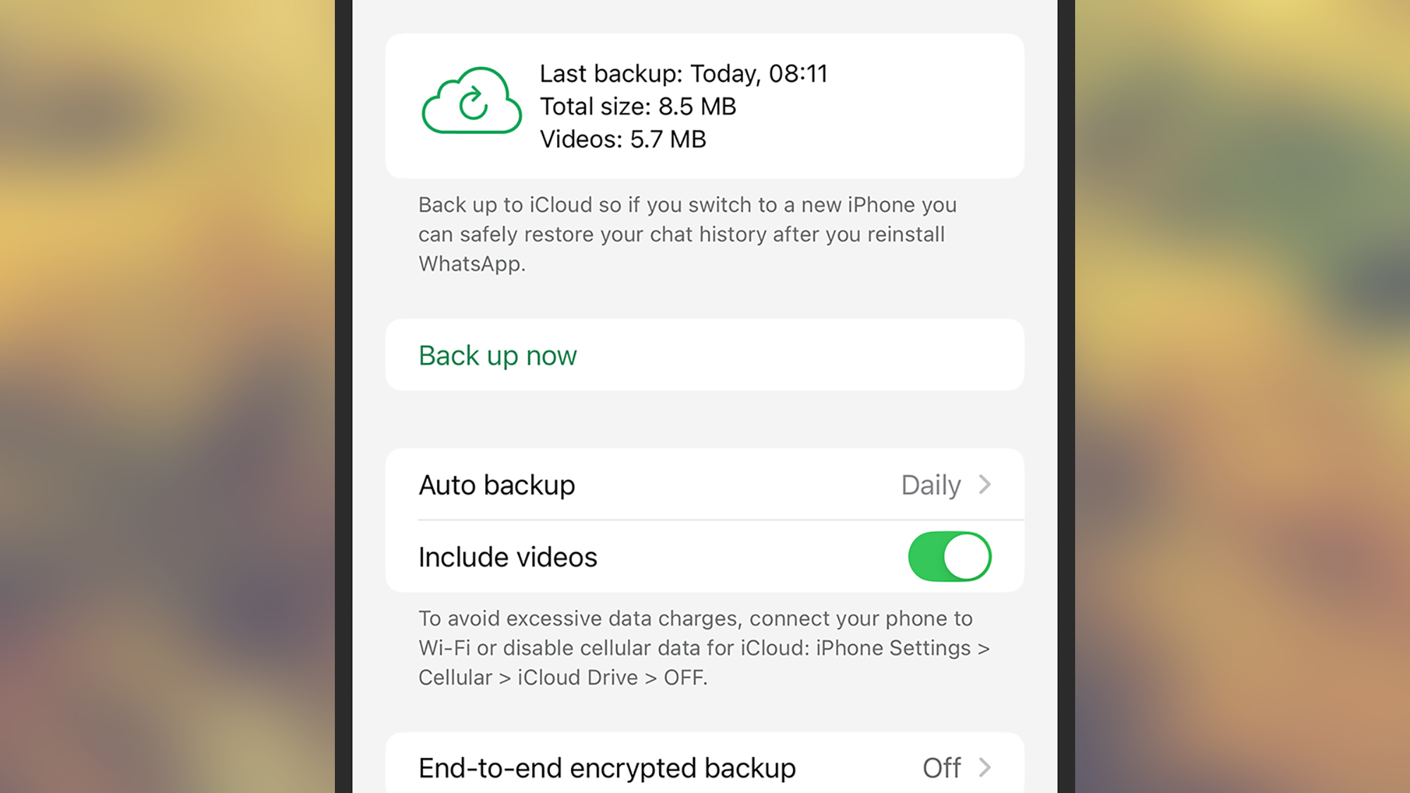 screenshot of backup