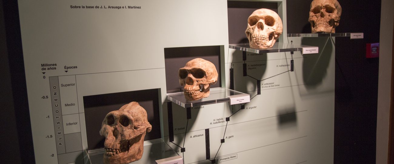Why our ancestors had straight teeth without braces