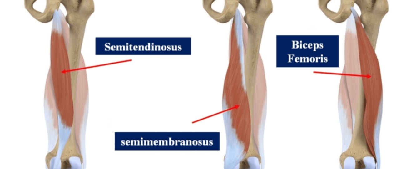 7 hamstring stretches recommended by a physical therapist