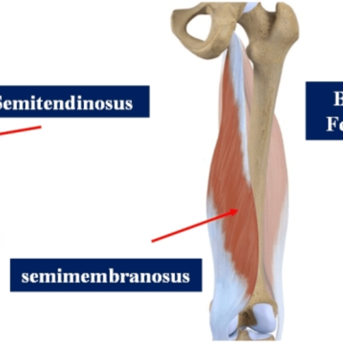 7 hamstring stretches recommended by a physical therapist