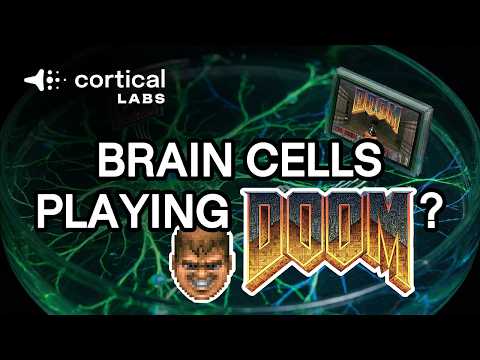 Computer run on human brain cells learned to play ‘Doom’