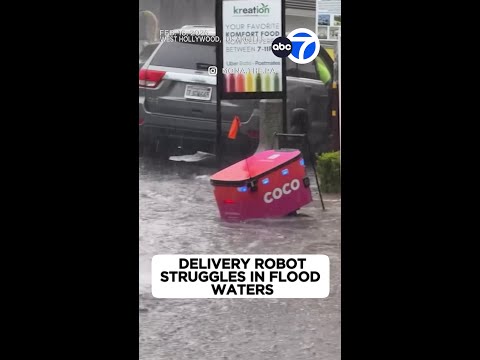Delivery robots keep crashing into bus shelters