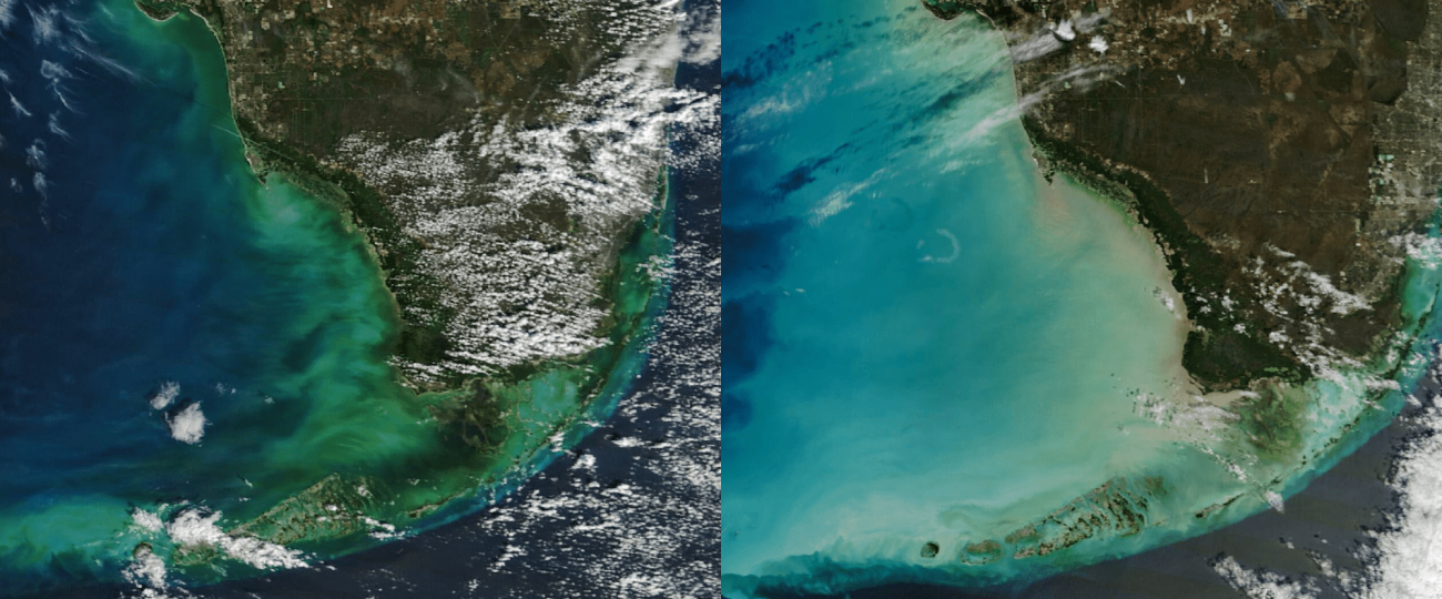 NASA spots Florida’s ocean waters changing color