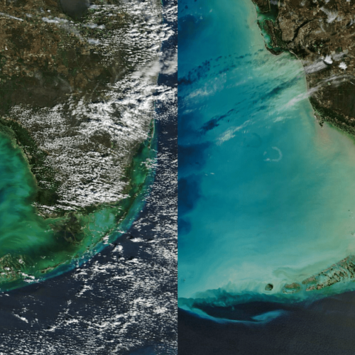NASA spots Florida’s ocean waters changing color