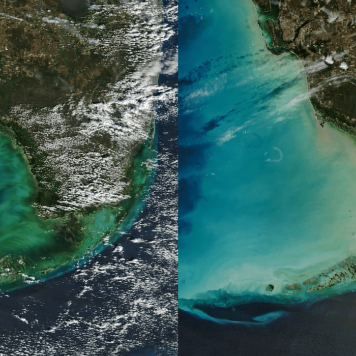 NASA spots Florida’s ocean waters changing color