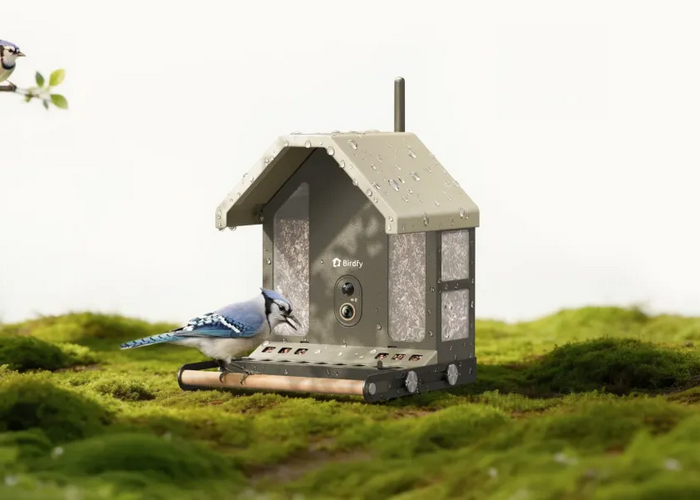 Birdfy Feeder Metal 2 4K Brings Ultra-HD Livestreaming to Your Backyard Birdwatching