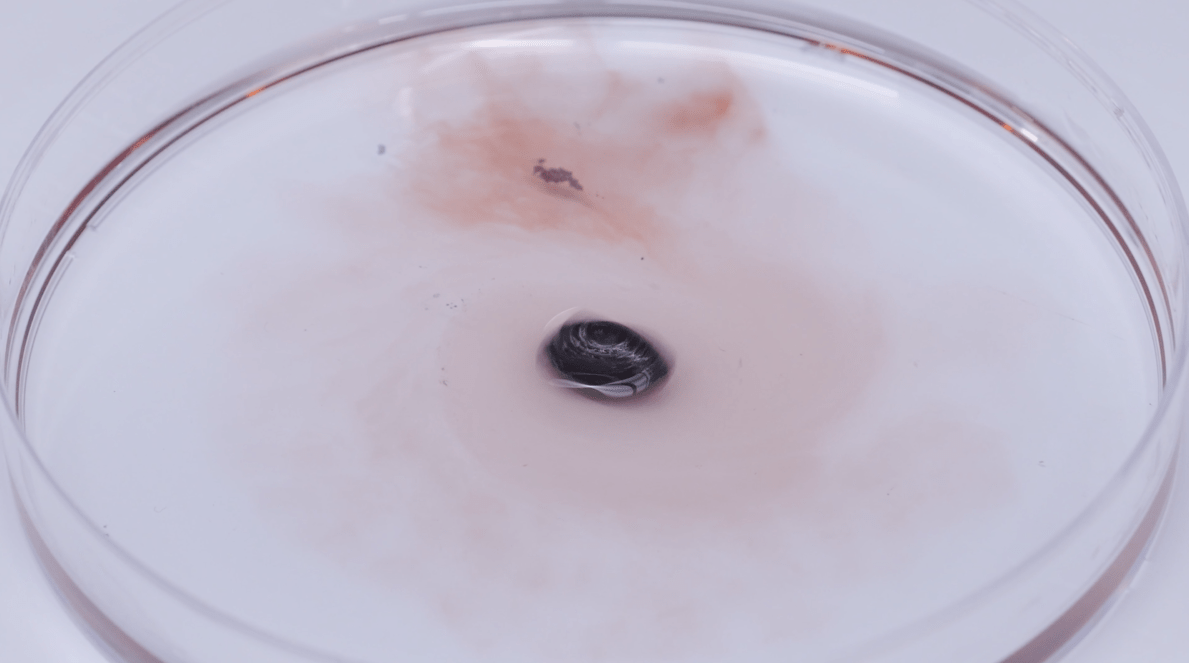 A 4D-printed object mixed with iron particles autonomously opening its lid and releasing its contents in response to a moving magnet. 