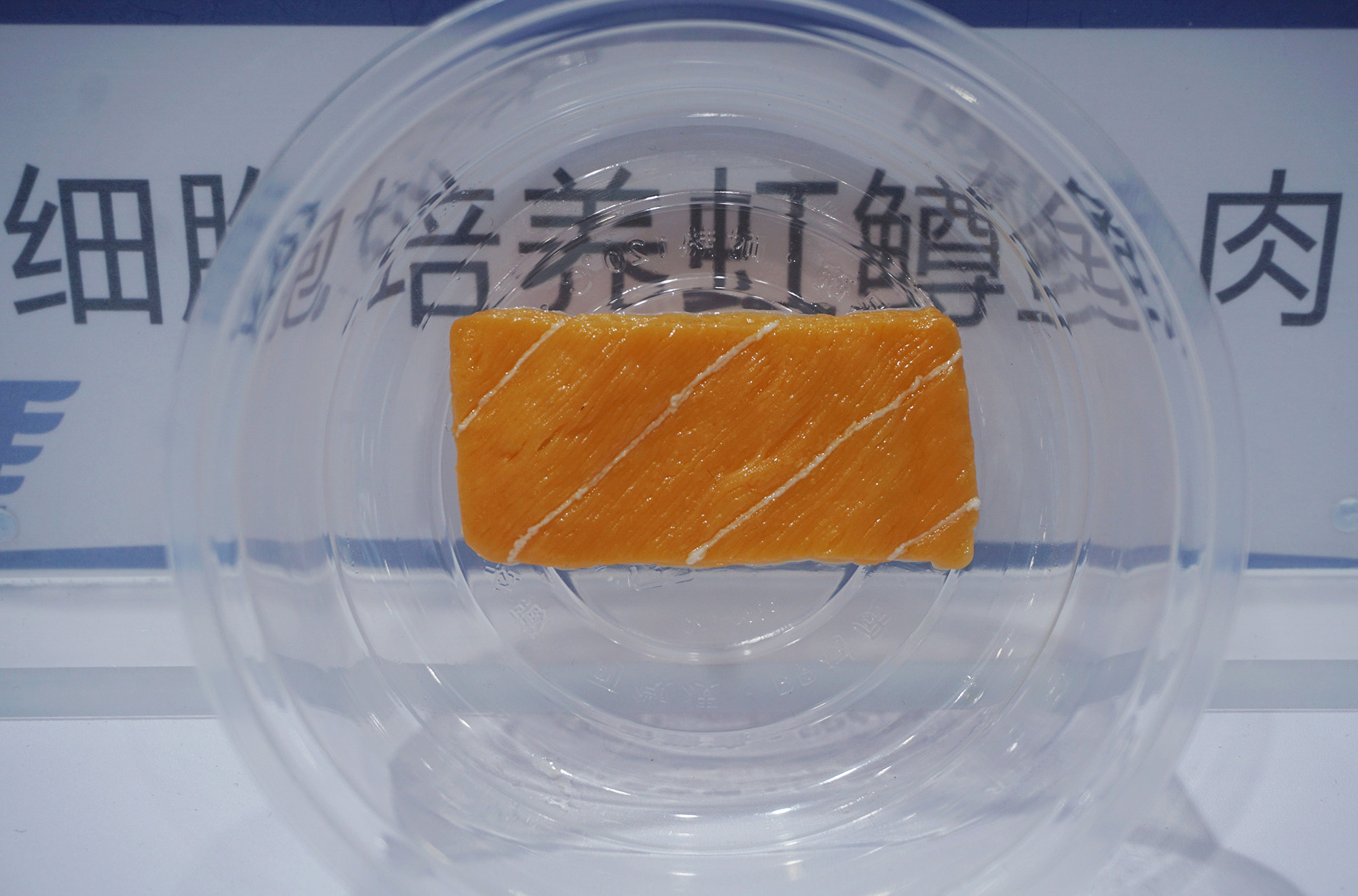A piece of lab-grown, orange rainbow trout meat on a clear plastic plate. Some Chinese letters can be seen behind it.